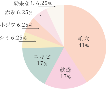 毛穴41%,乾燥17%,ニキビ17%,シミ6.25%,小ジワ6.25%,赤み6.25%,効果なし6.25%