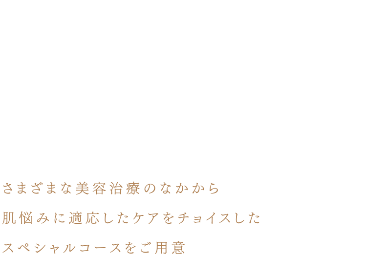 通常の治療よりもより深いアプローチを行うコースメニュー「健康で美しい肌」という目標があります